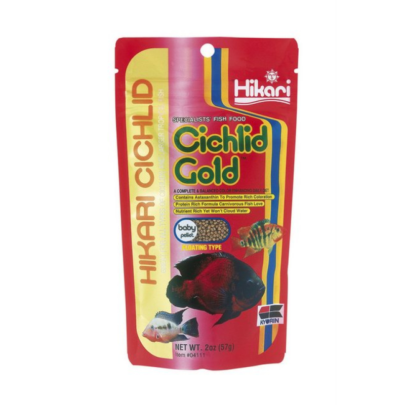 Hikari cichlid gold baby